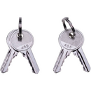 Paire de clés de rechange 21982GT pour Genie GS1530 GS1930 S60 S65 Z34-22N Z34-22IC Z45-25DC Z45-25J GS2668DC GS3268DC GS2668RT GS3268RT GR08