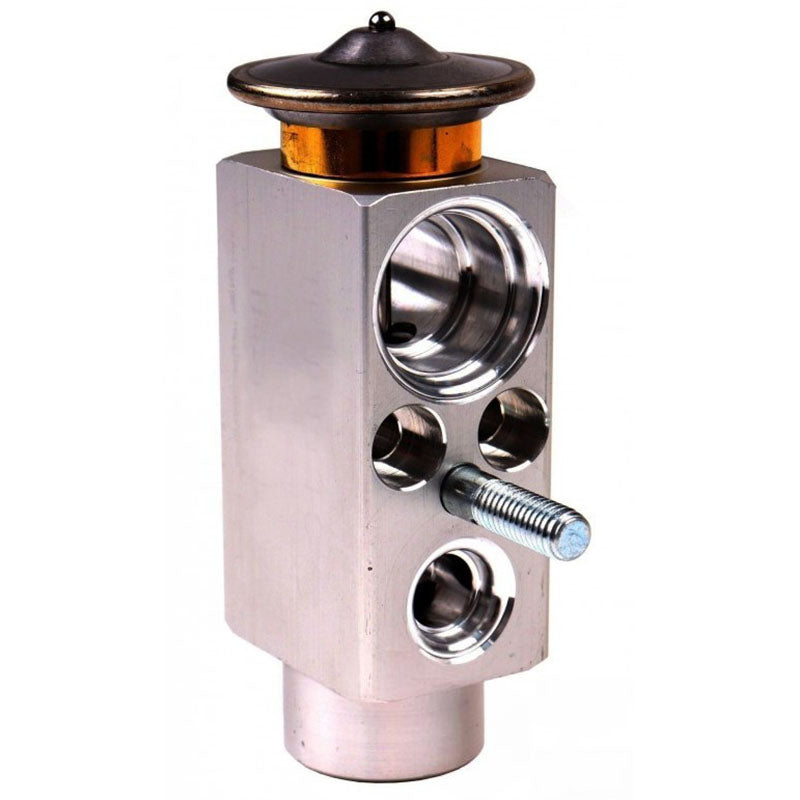 Expansion Valve 069509 000069509 069509.0 for Combine Harvester LEXION 580/760/770