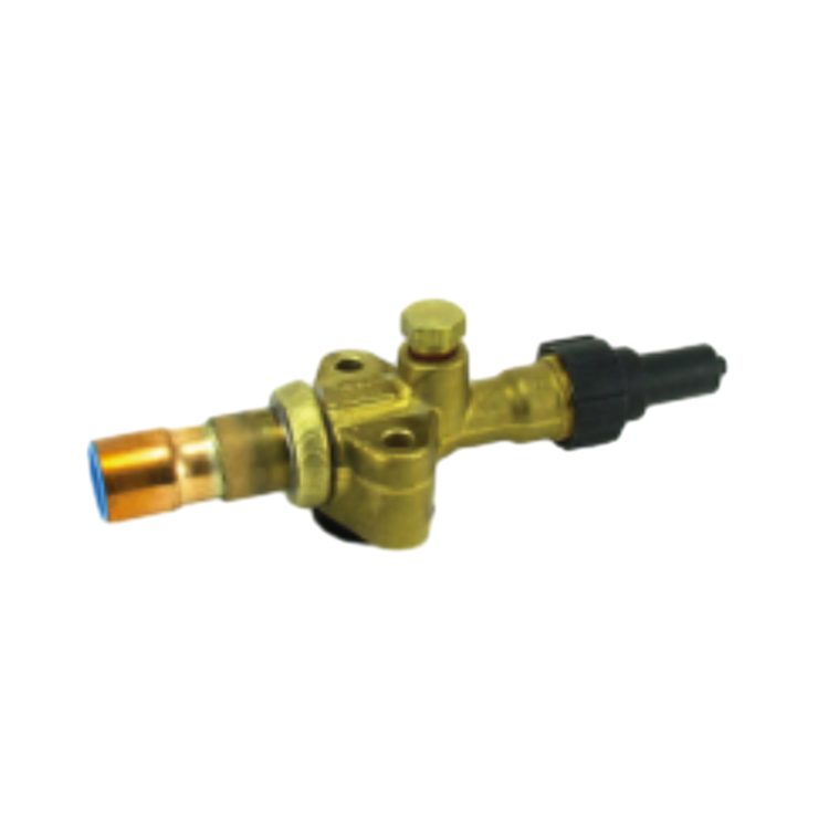 Holdwell Aftermarket Valve Discharge 14-00309-03 140030903 for Carrier Transicold