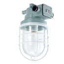 Replacement Incandescent working light	 AYPA818 fit  Kokosha