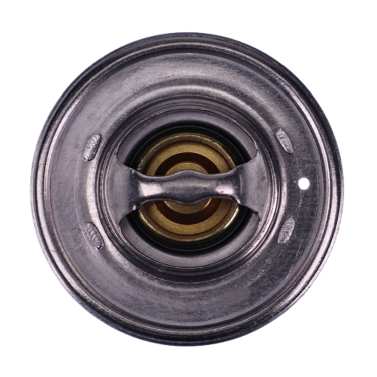 Termostato de repuesto Holdwell GEHL 243440 para repuestos GEHL Mustang Manitou