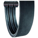 Correa de repuesto Holdwell 667249 para cosechadoras Claas LEXION 405 410 415 420 430 440 450 460 465 470 475 480 485 510 520 530 540 550 560 570 580