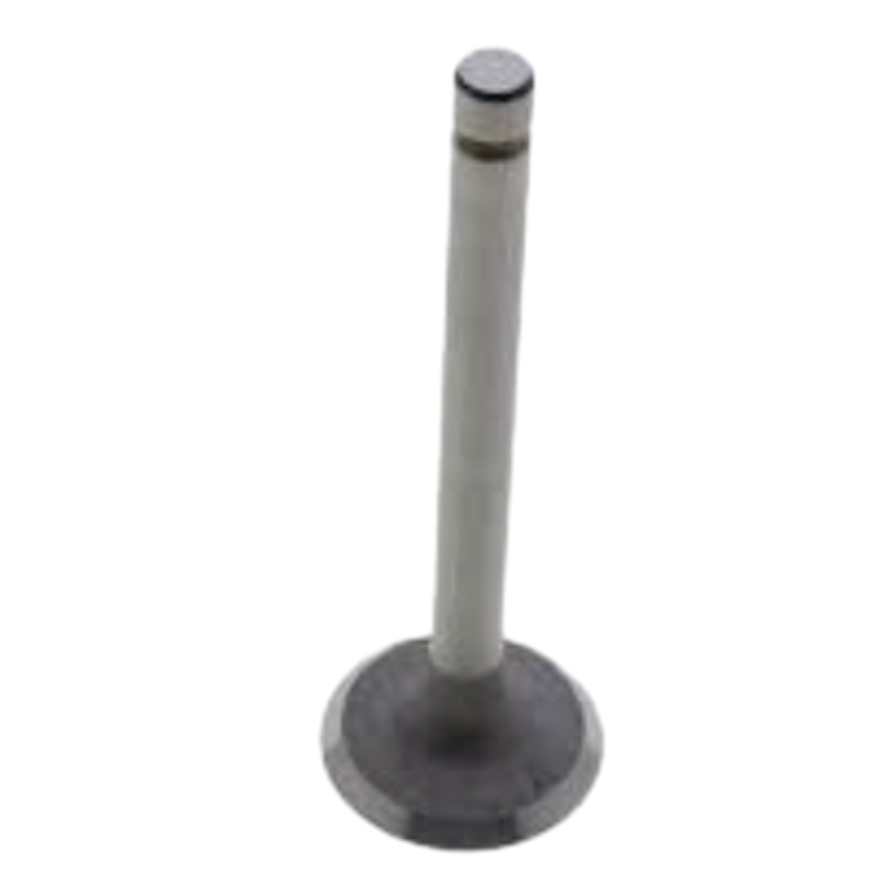 Aftermarket New Exhaust Valve 25-38086-00 For Carrier CT4-114DI