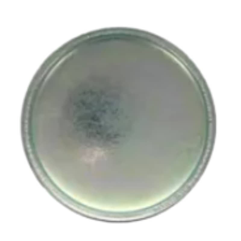 Aftermarket Telehandler Parts Expansion Plug 4895228  for Case Telehandler Parts