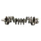Cigüeñal Holdwell Aftermarket CA3764074 376-4074 3764074 para motor CATERPILLAR C7.1