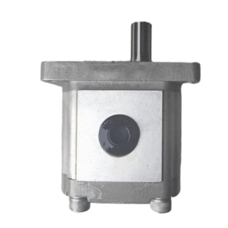 Holdwell Replacement Steering Pump CBT-E312F8H1R2 CBTE312F8H1R2 For PARKER Spare Parts