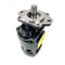 Reemplazo de bomba hidráulica principal y dirección de repuesto Holdwell Aftermarket CASE E69484 APTO PARA Case W20b - W20e