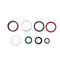 Holdwell New Aftermarket Oil Seal Kit D148100 for Case Backhoes Loader 480C  480D