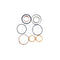 Holdwell New Aftermarket Oil Seal Kit 191747A1 for Case Backhoes Loader 580L 580M