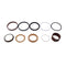 Holdwell New Aftermarket Oil Seal Kit 1543267C1 for Case Backhoes Loader 580K 580SK 580L