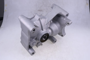 HOLDWELL 41300-HN8-B40 Rear Differential ASSY Replacement Part for Honda ATV Rincon 680 TRX680 2006-2022