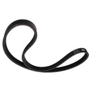 OEM Quality Construction Machinery Parts Drive Belt 7146391 for Bobcat S510 S530 S550 S570 S590 T550 T590