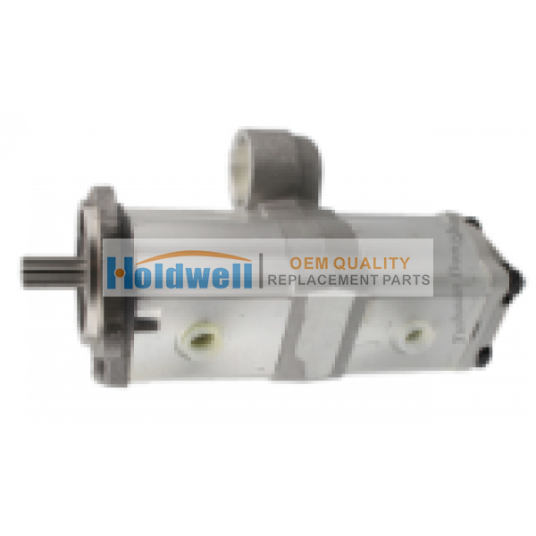 Holdwell 3816909M91 3800194M91 Power Steering Pump for MF: 4200, 4225, 4225HV