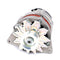 Aftermarket New Alternator 4279540M93 For AGCO LT75A LT90A