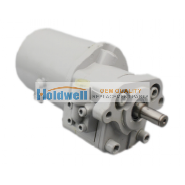 Holdwell 1666726M91 3774649M91 Power Steering Hydraulic Pump