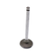Aftermarket New Intake Valve 11-5850 For Thermo King Engine 2.2DI