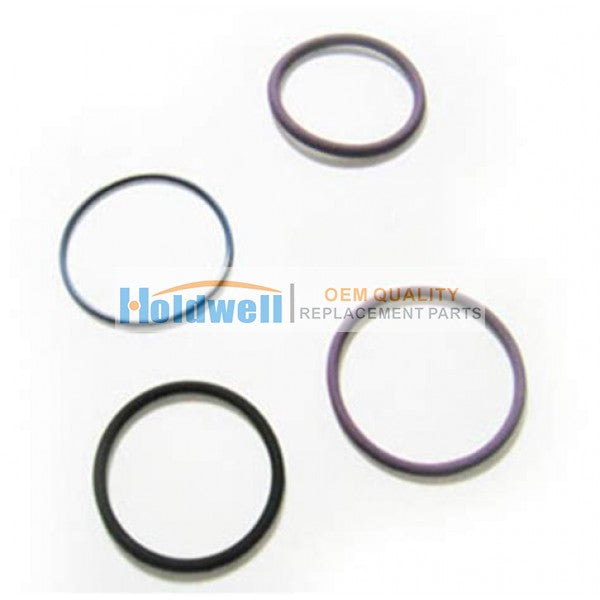 Holdwell 276948 O ring kit for Volvo truck injector