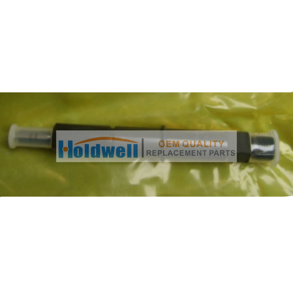 HOLDWELL fuel injector 24425916 for Volvo EC135B EC140B BL71 BL70 BL60 BL61